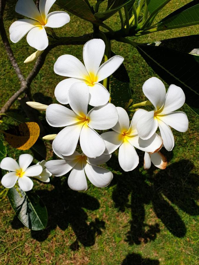 Samui Blue Bird Bed & Breakfast Mae Nam Dış mekan fotoğraf