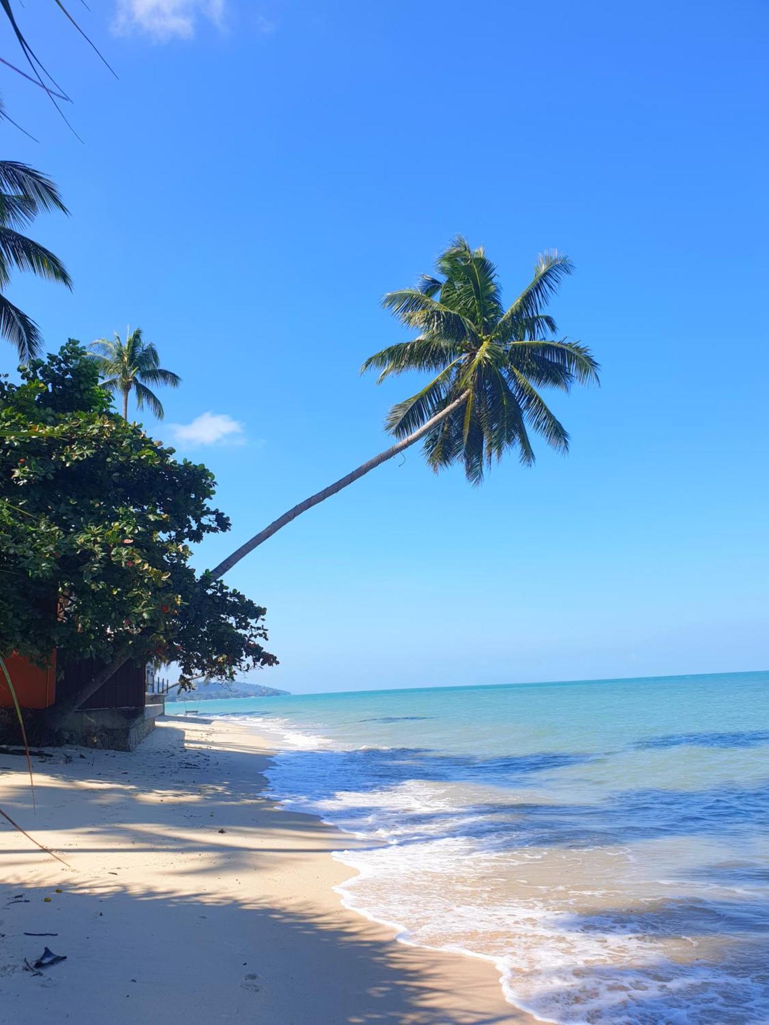 Samui Blue Bird Bed & Breakfast Mae Nam Dış mekan fotoğraf